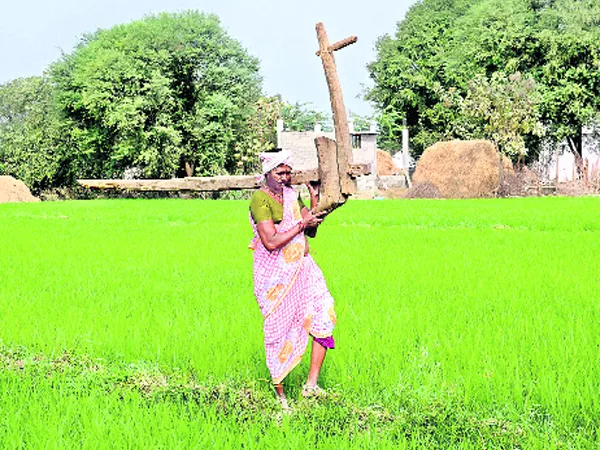 women farmer success story - Sakshi