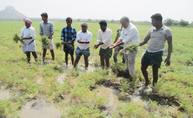 mla vishweshwar reddy fires on payyavula keshav - Sakshi