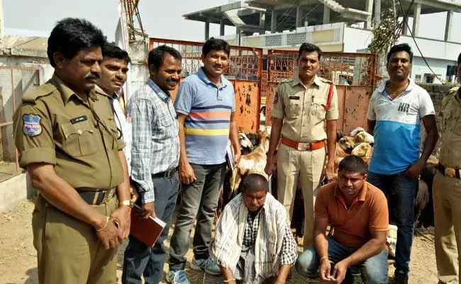 Two arrested for moving subsidized sheep - Sakshi