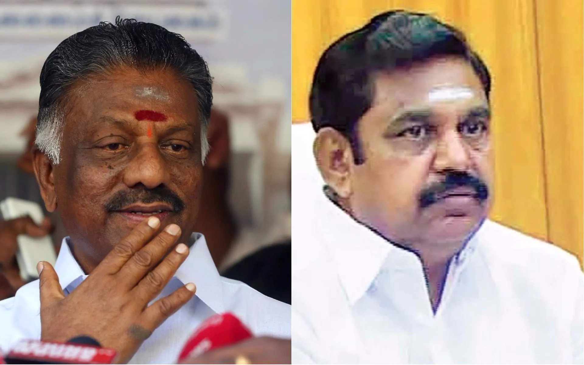 AIADMK expels 93 office-bearers in Kanyakumari district - Sakshi