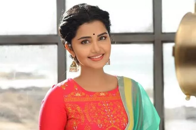 Anupama Parameswaran to thrown in a grand b'day bash - Sakshi