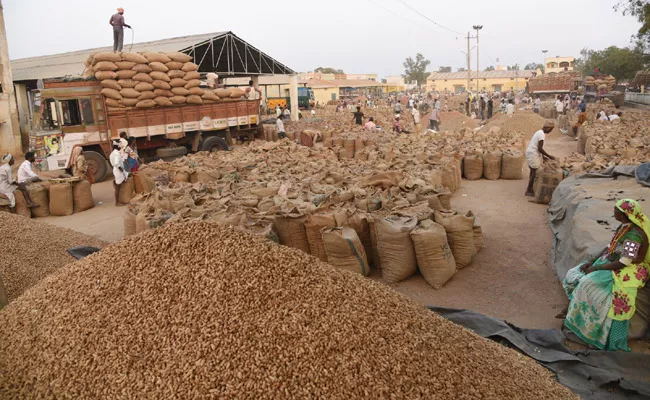 good rate for groundnuts at nagarkurnool market in telangana - Sakshi