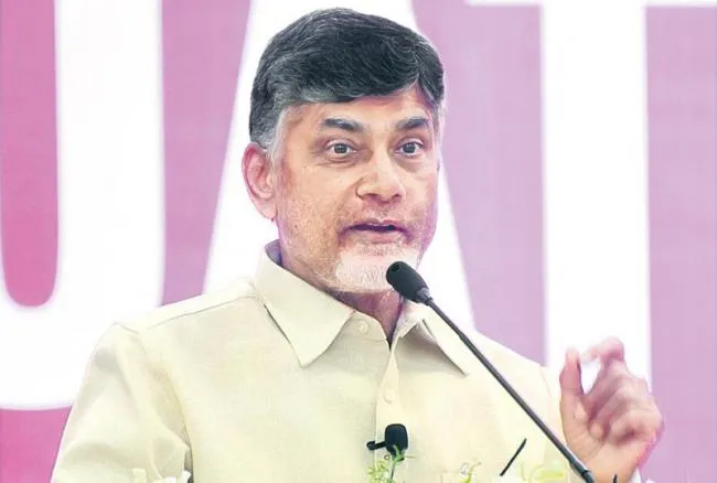 Chandrababu command for TDP leaders in teleconference - Sakshi