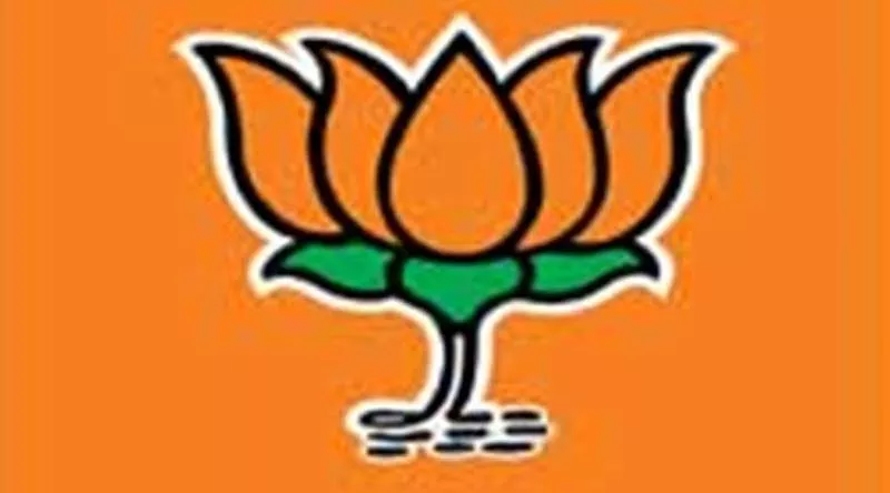 BJP Hopeful Of Working Majority In Rajya Sabha Polls Next Month - Sakshi