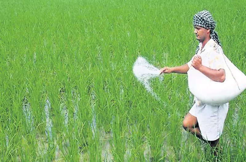 Companies selling fertilizer dealers with restrictions - Sakshi