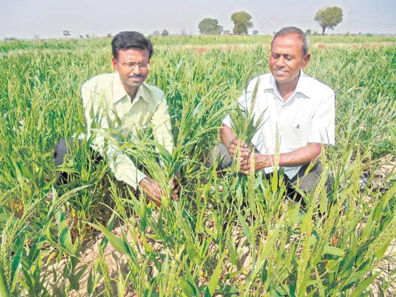 phd student come toa natural forming cultation - Sakshi