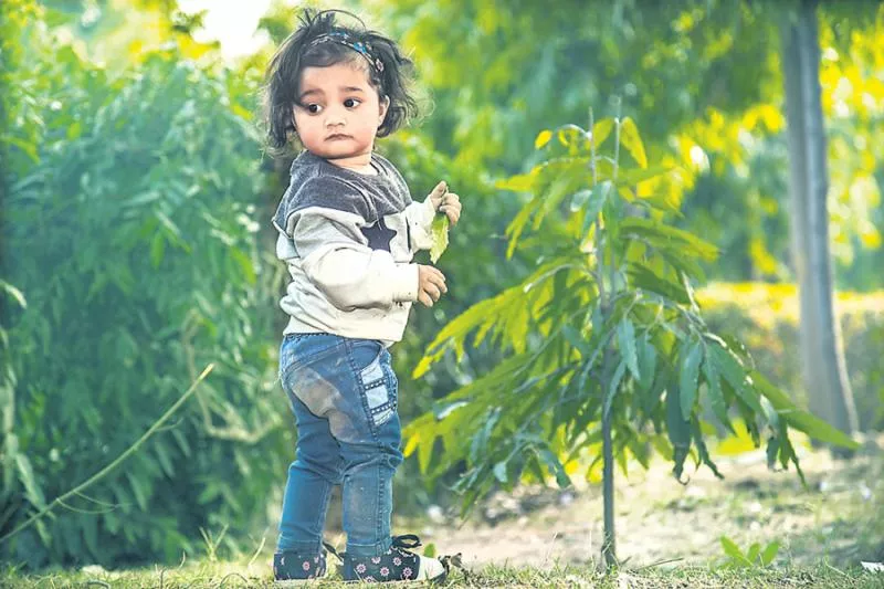 A child's brain will be good with greenery - Sakshi