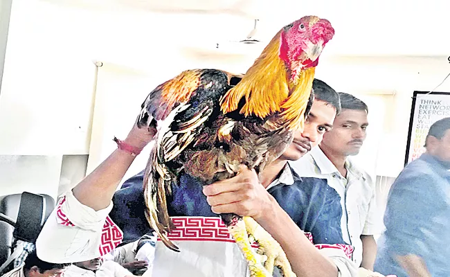 Police Officials Sales Arrested Hens in Chicken shops - Sakshi