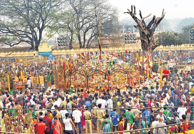 central minister will be visits medaram jatara - Sakshi