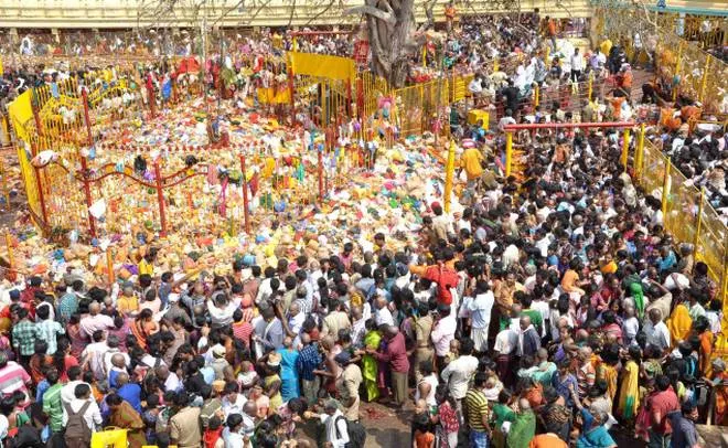 sammakka saralamma jatara - Sakshi