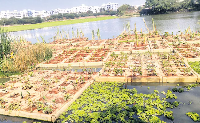 neknampur lake entered in india book of records - Sakshi