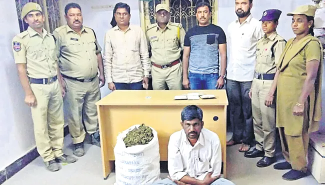 police caught farmer cultivating ganja in sangareddy - Sakshi