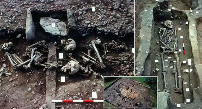 Mass grave could be the burial site of Viking Great Army - Sakshi