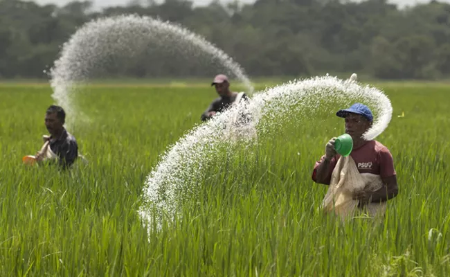 effects of farmers with increased fertilizer prices - Sakshi