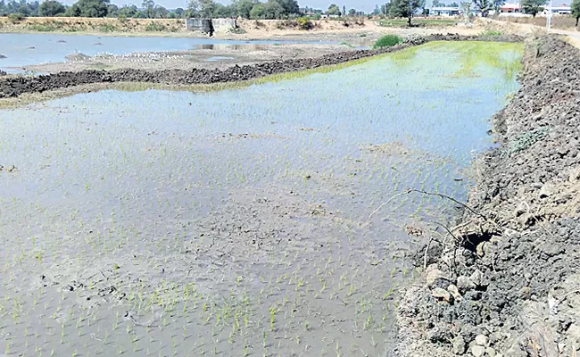 pond land illegally taken in tharoor - Sakshi