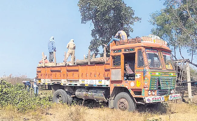 deforestation in medak due to timber smuggling - Sakshi