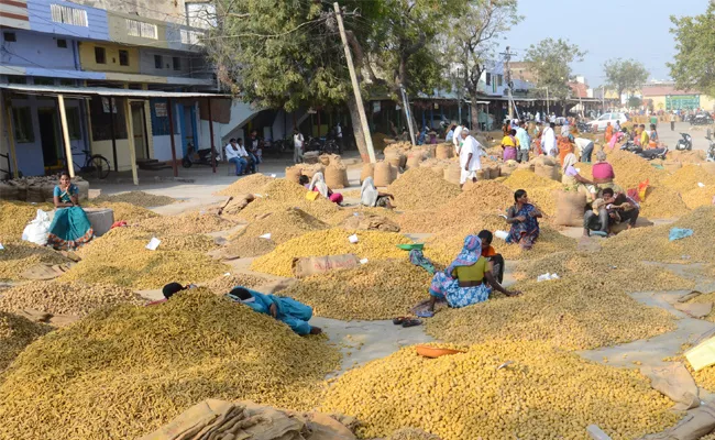 in nizamabad market Loss of the farmers with the lack of turmeric crop price - Sakshi