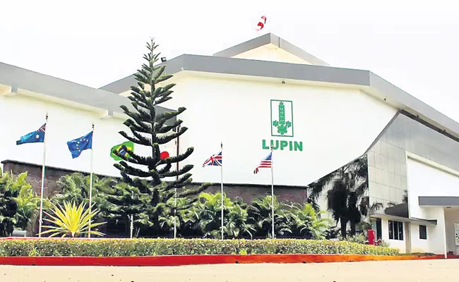 Lupine's profit down 65 per cent - Sakshi