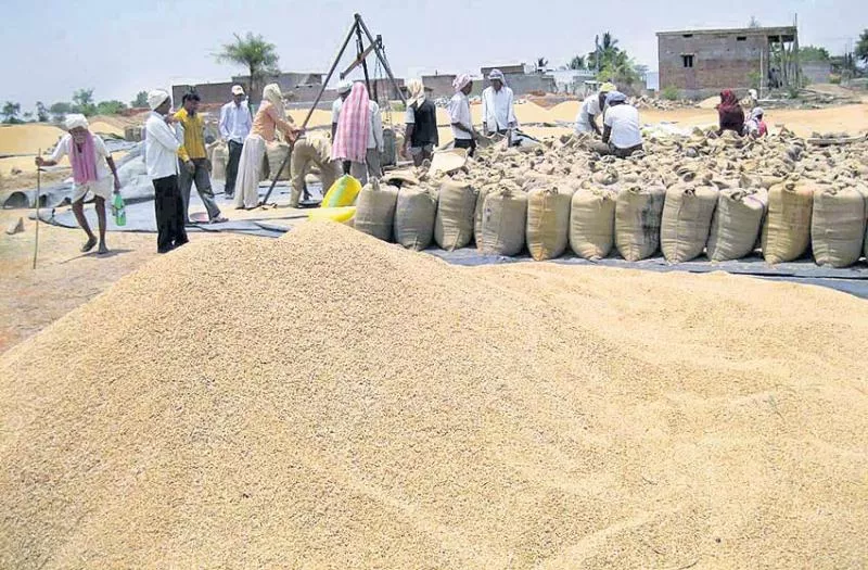 Food grains record production of 27.74 million tonnes, fear of reduction in wheat - Sakshi