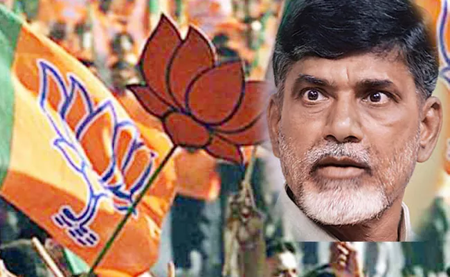 AP BJP Leaders Strong Warning To TDP Chief Chandrababu - Sakshi