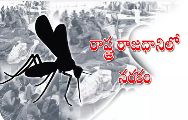 Mosquitoes showing hell in the state capital - Sakshi