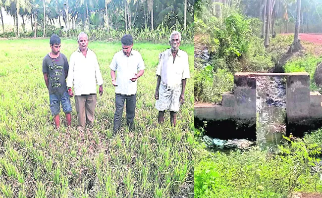 Crop Water Problem In west godavari - Sakshi