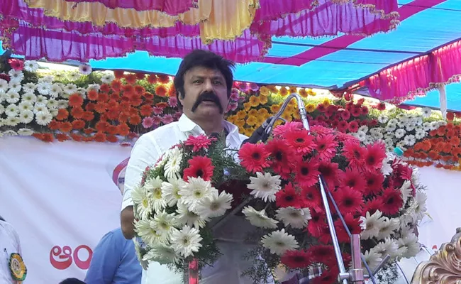 Mla Balakrishna Speech About Unemployed Youth - Sakshi