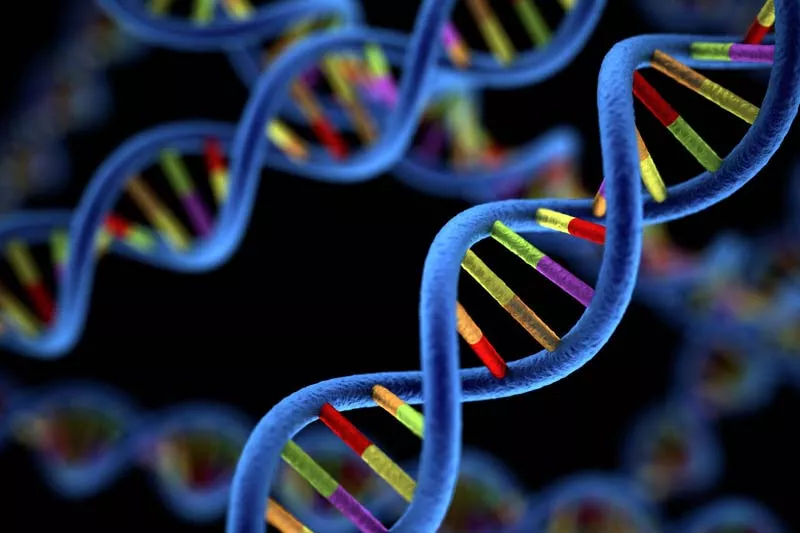 UK-US firms create largest genomics project to study Indian population - Sakshi