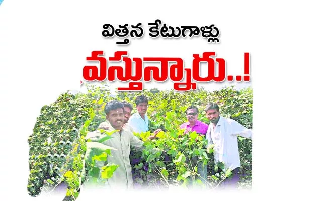 Fake seed dealers are coming - Sakshi