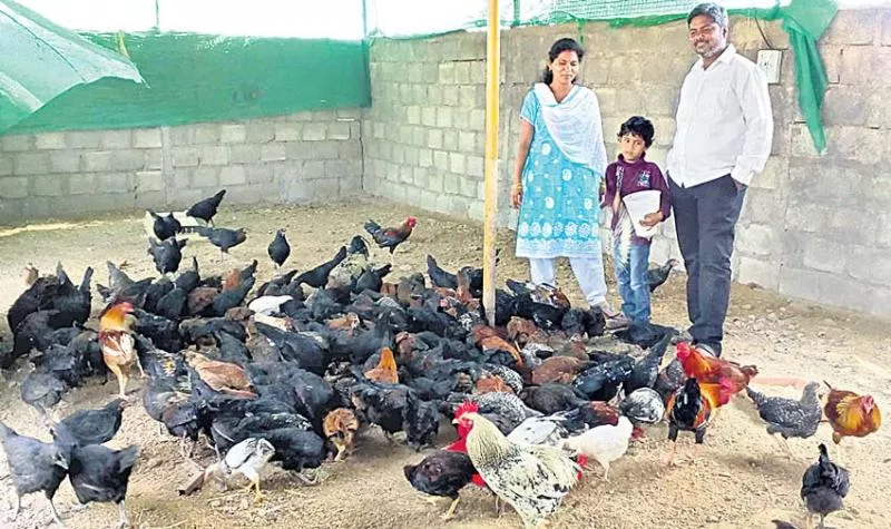 Short cost of planting chicken children - Sakshi