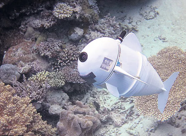 Robotic Fish to Keep a Fishy Eye on the Health of the Oceans - Sakshi