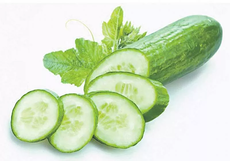 food special Cucumber Health benefits - Sakshi