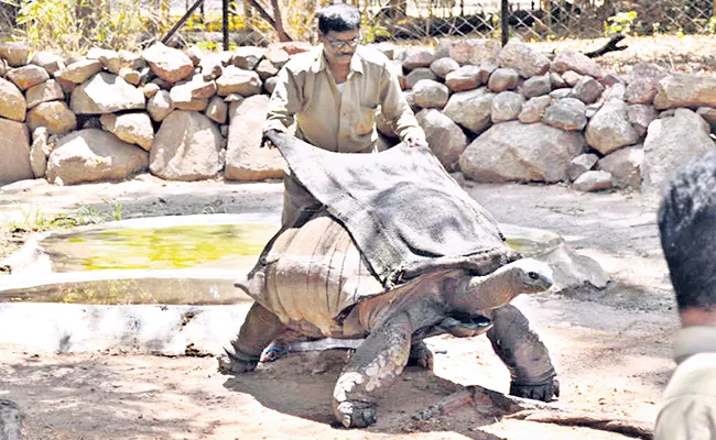 Nehru zoo installs coolers to help animals beat the heat  - Sakshi