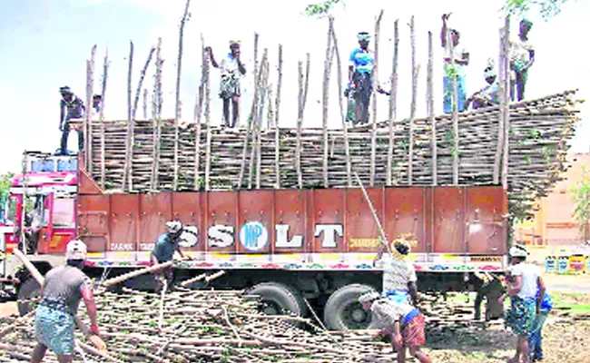 Subabul Farmers Demand For Support Price - Sakshi