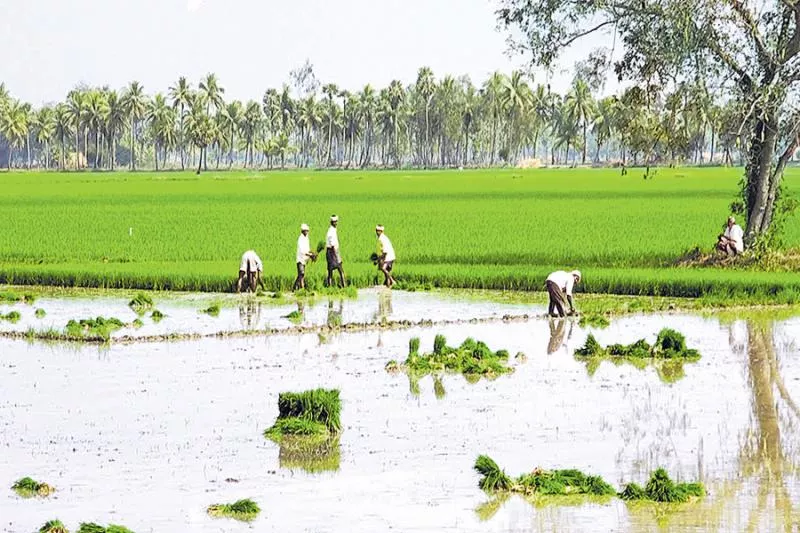 Kharif new basin 8.89 lakh acres! - Sakshi