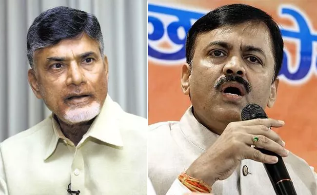 BJP Leader GVL slams CM Chandrababu - Sakshi