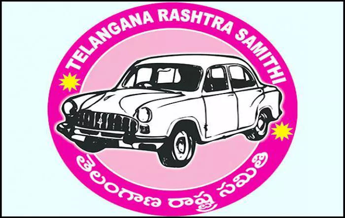 TRS agitation in the Lok Sabha - Sakshi