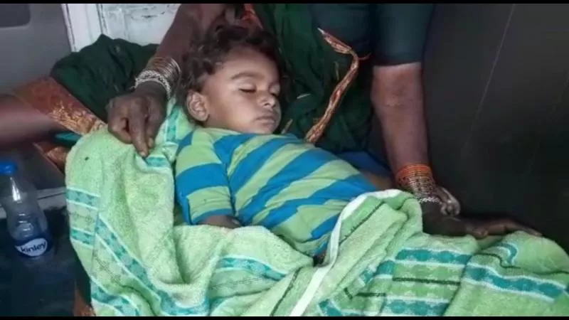 A boy killed by cow - Sakshi