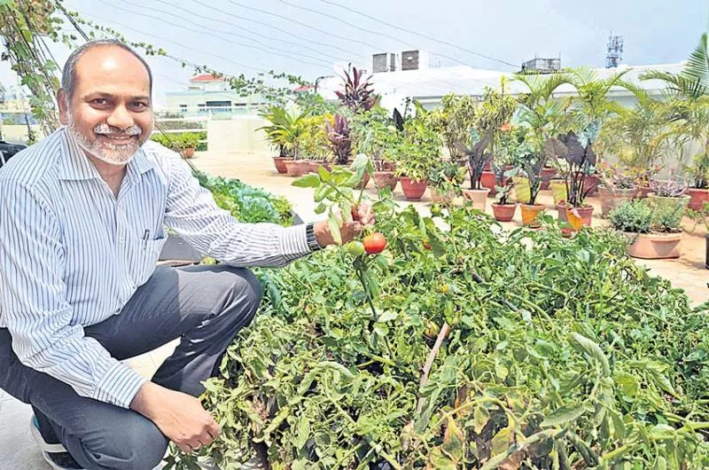 Clay house without a soil cultation - Sakshi