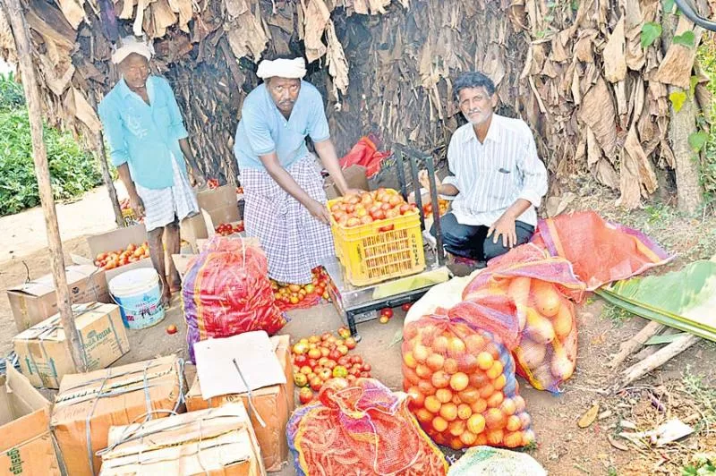 Even if the outside market price goes up, the same price for the whole year - Sakshi