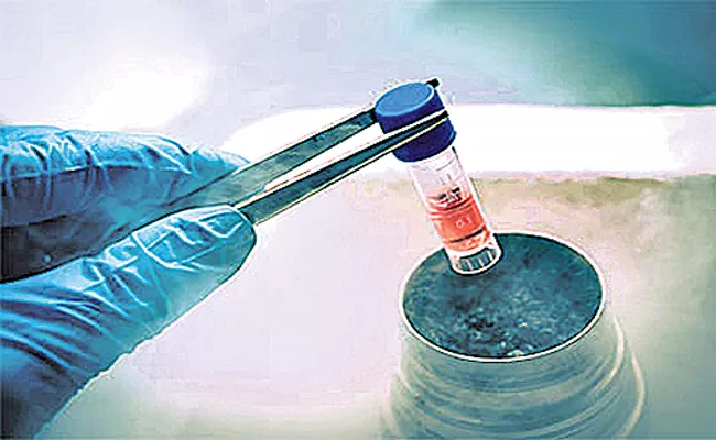 Cryopreservation In Greater City - Sakshi