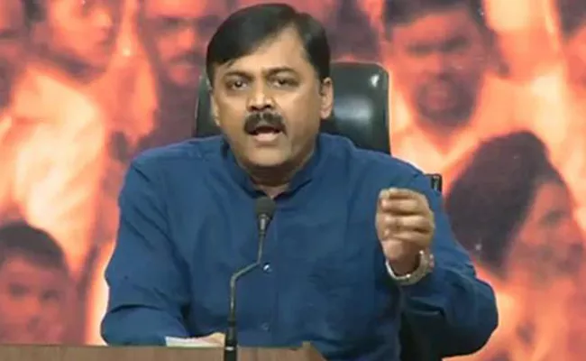 GVL Narasimha Rao Comments On AP Special Status - Sakshi