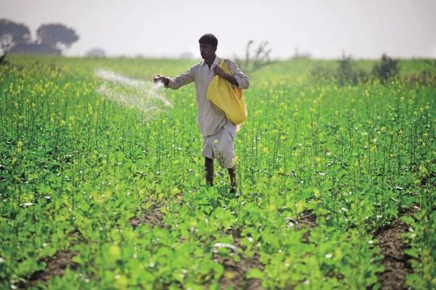 Fertiliser subsidies to be released to companies, says government  - Sakshi