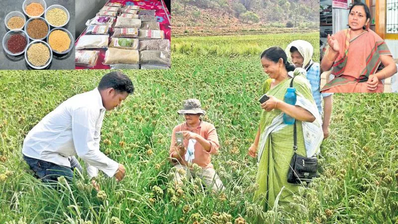 manyam depika farmer producer company - Sakshi