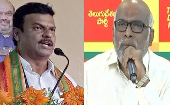 War Of Words Between TDP, BJP Leaders In Legislative Council - Sakshi