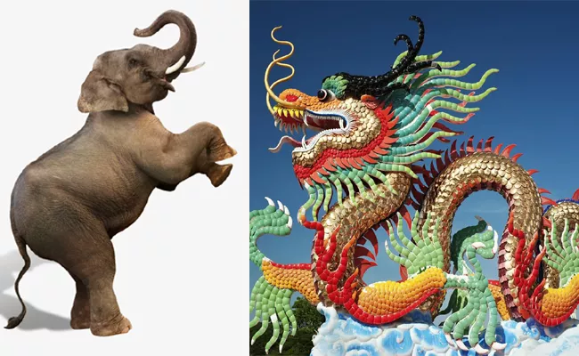 Chinese Dragon And Indian Elephant Have To Dance Together - Sakshi