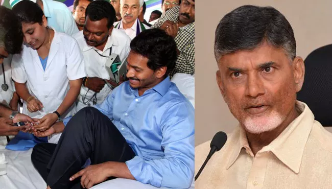 YSRCP President YS Jagan Mohan Reddy Fight for Special status  - Sakshi