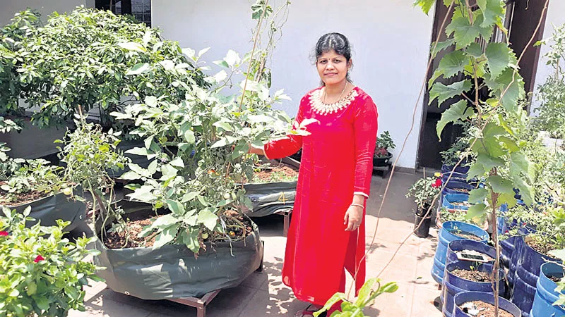 The house is the food of the food crops - Sakshi