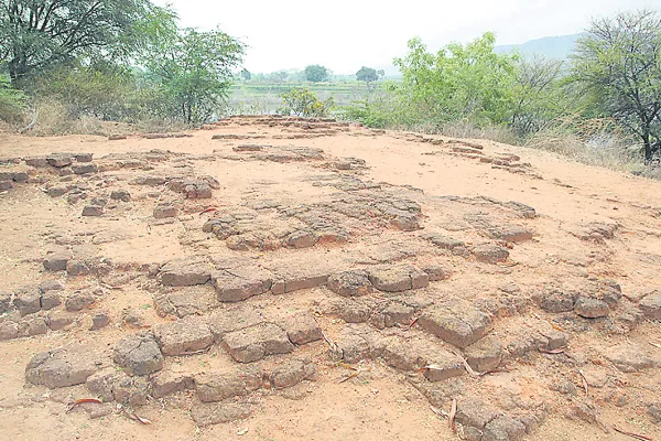 Government neglect koti lingala  - Sakshi