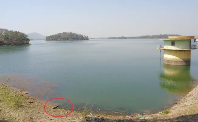 Crocodiles In Kinnerasani Reservoir - Sakshi